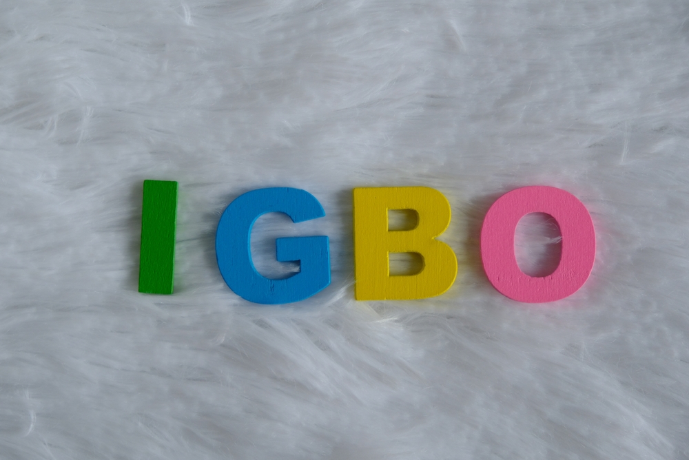 Our professional Igbo to English translation services are also available remotely worldwide.