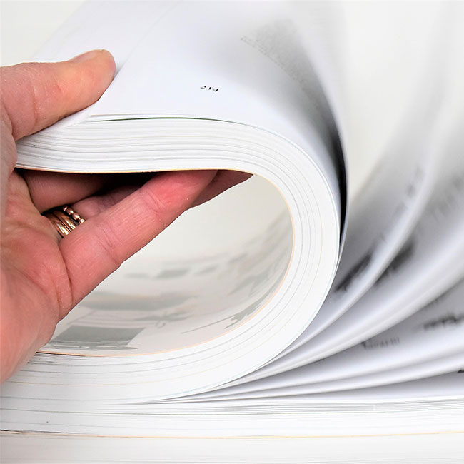 document-translation-services-5